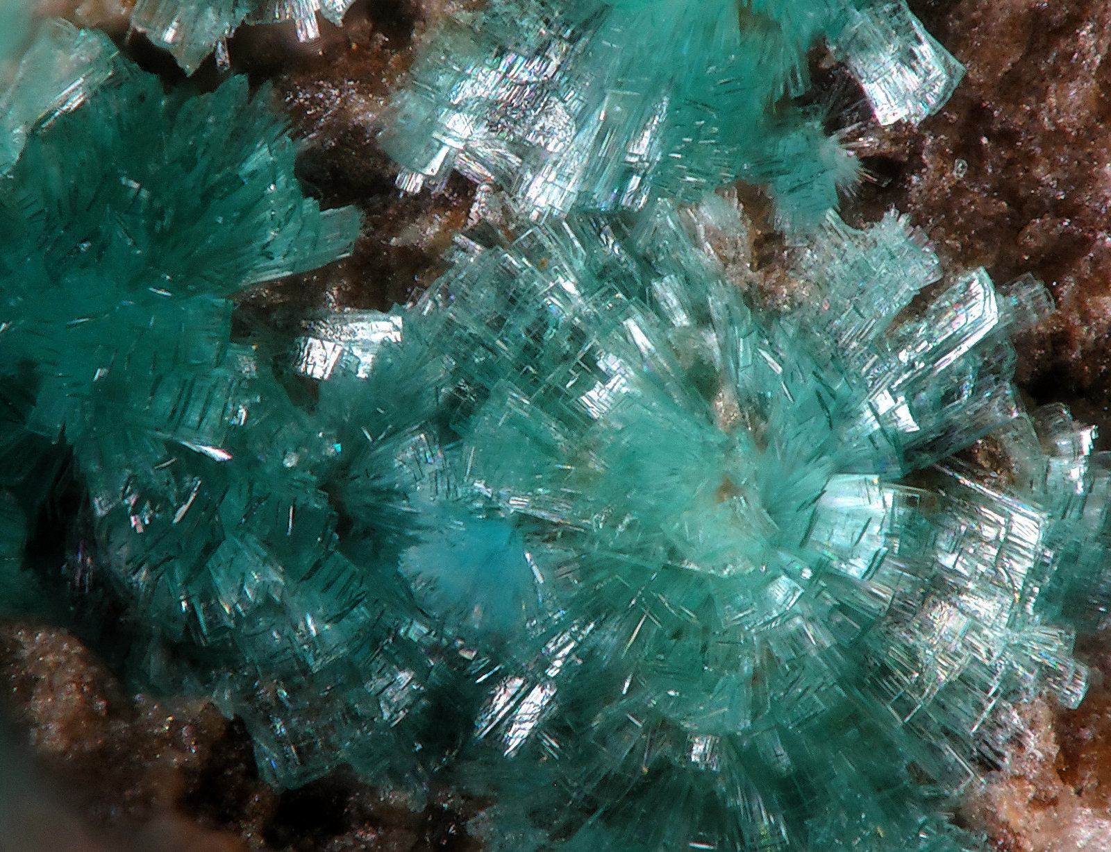 Fehrita
fov 2.6 mm
(Autor: Antonio P. López)