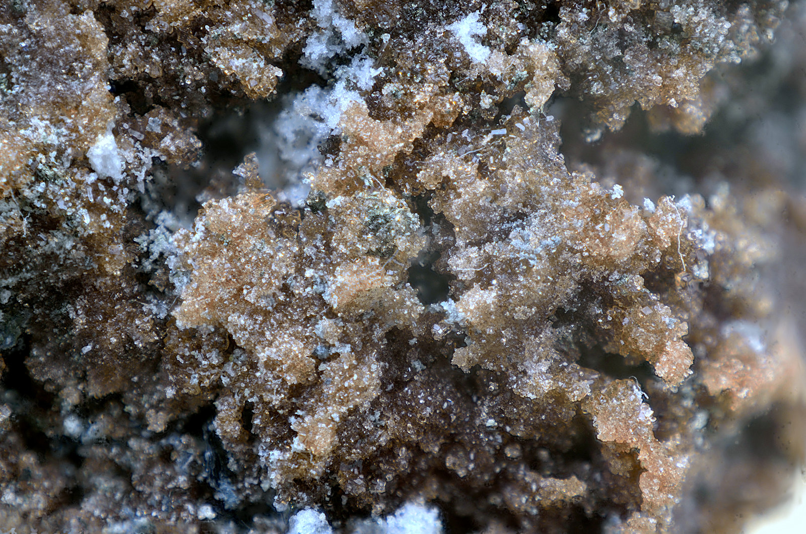 Römerita
Campo de visión de 10 mm.
(Autor: Antonio Carmona)