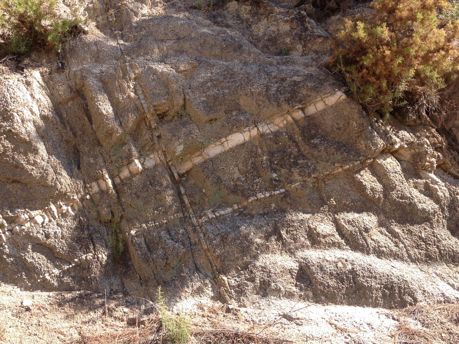 Granito, felsita, cuarzo
Foto de unos 4 x 8 m
(Autor: Emilio Téllez)