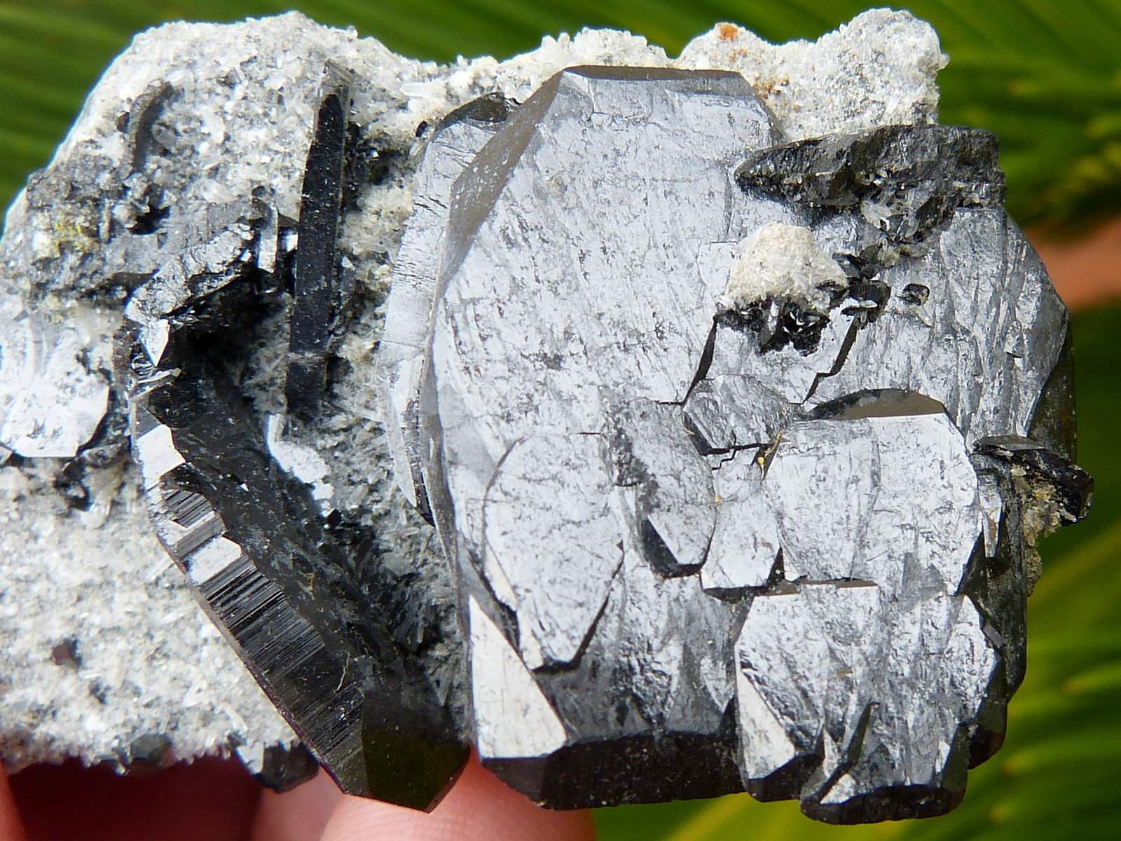 Ferberita
6 x 3,5 cm
(Autor: nerofis2)