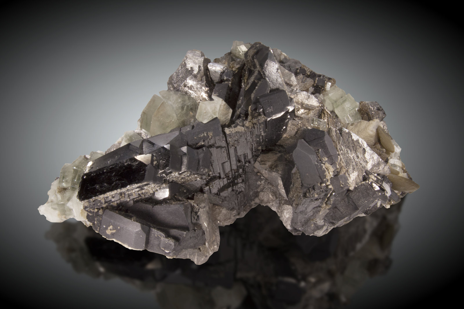 Ferberita, Fluorapatito
20 x 13cm. Cristales de ferberita de hasta 5.5cm de arista.
(Autor: Raul Vancouver)