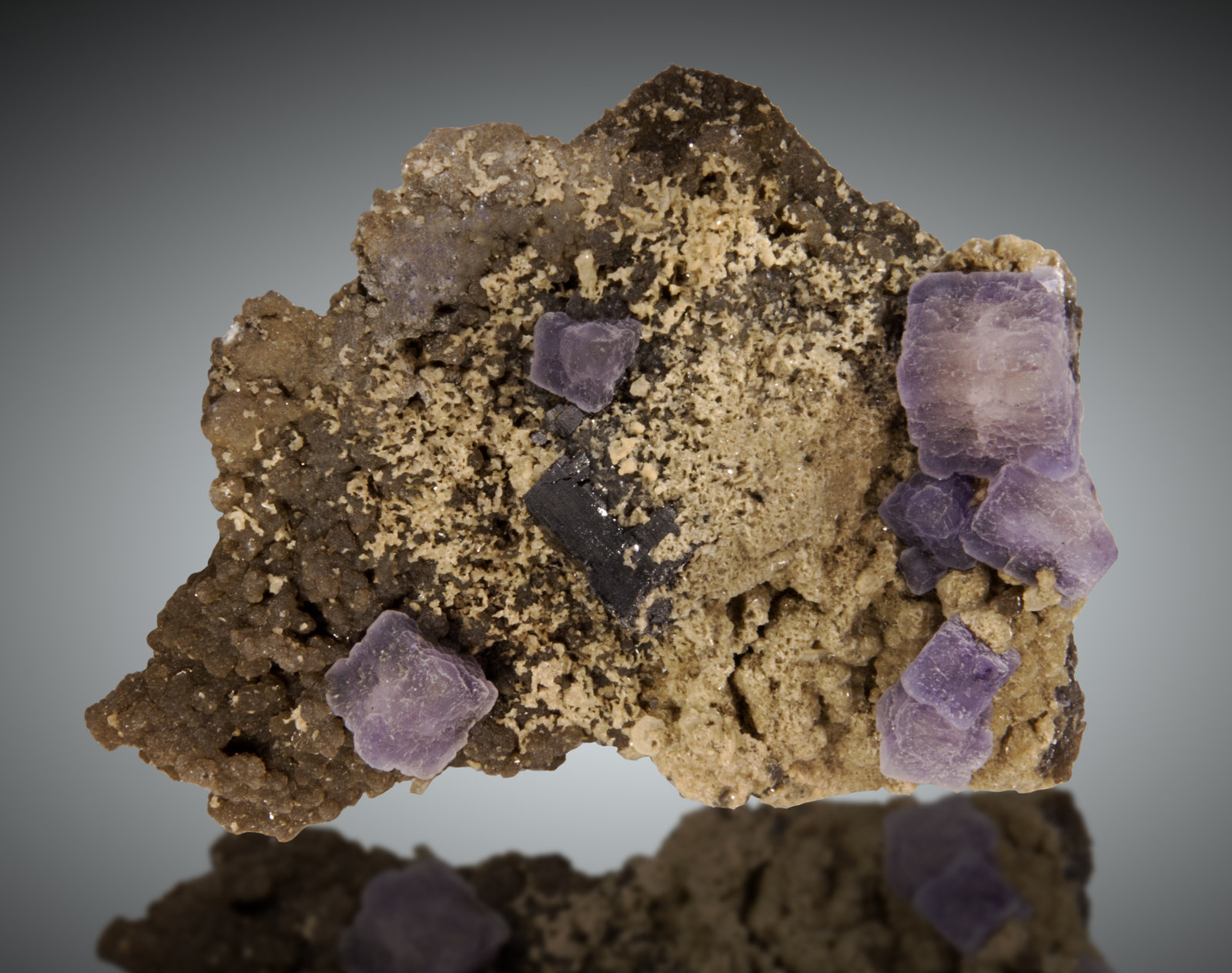 Fluorita
10 x 7 cm
(Autor: Raul Vancouver)