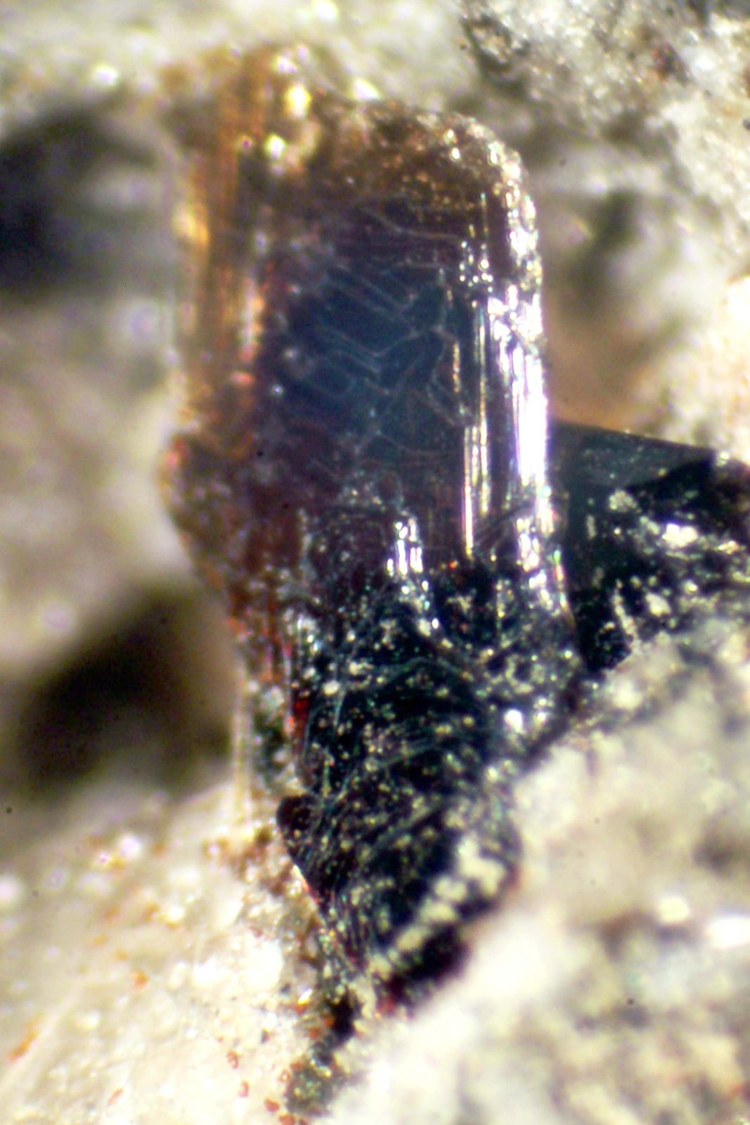 Ferrohornblenda
< 1 mm
(Autor: José Luis Zamora)