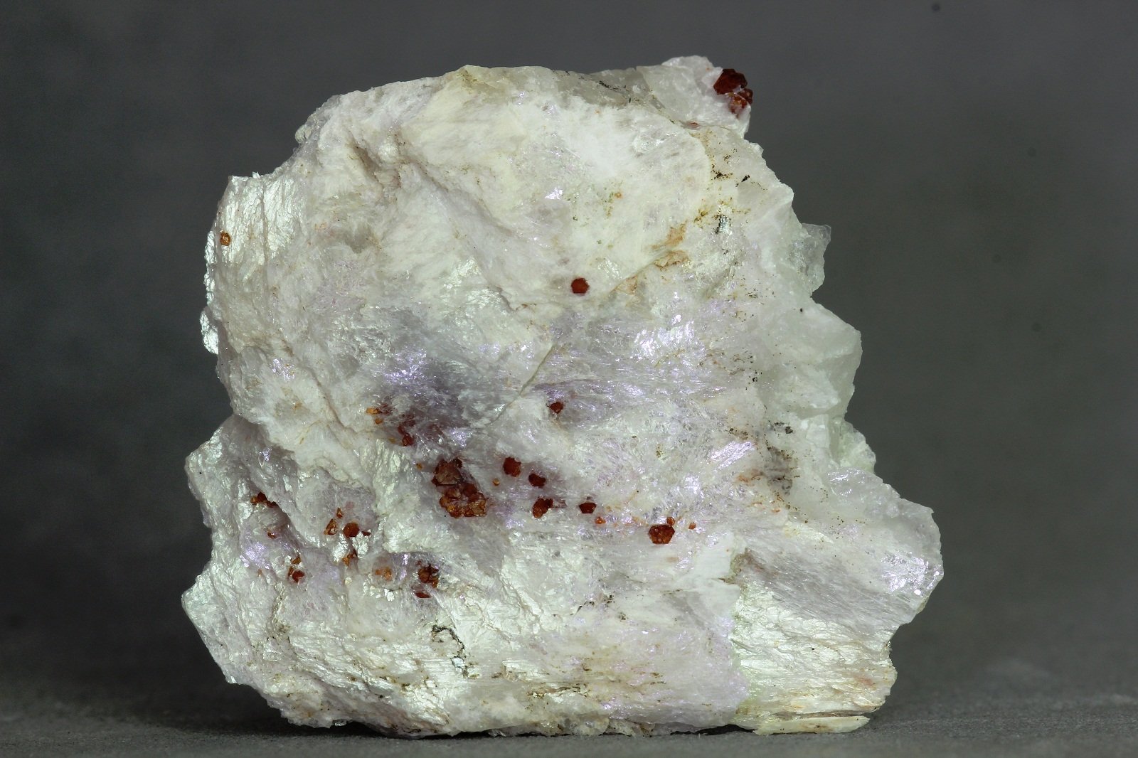 Ferronigerita
26x25 mm
(Autor: Juan Espino)