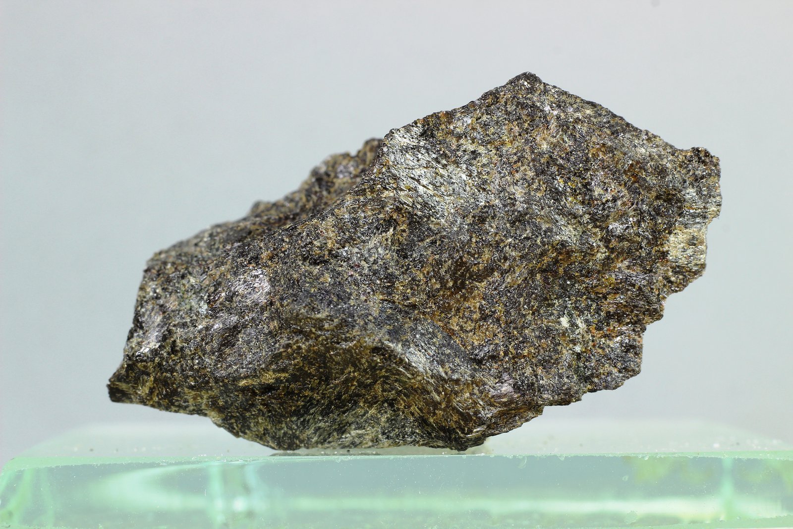 Ferrosilita
50x20 mm
(Autor: Juan Espino)