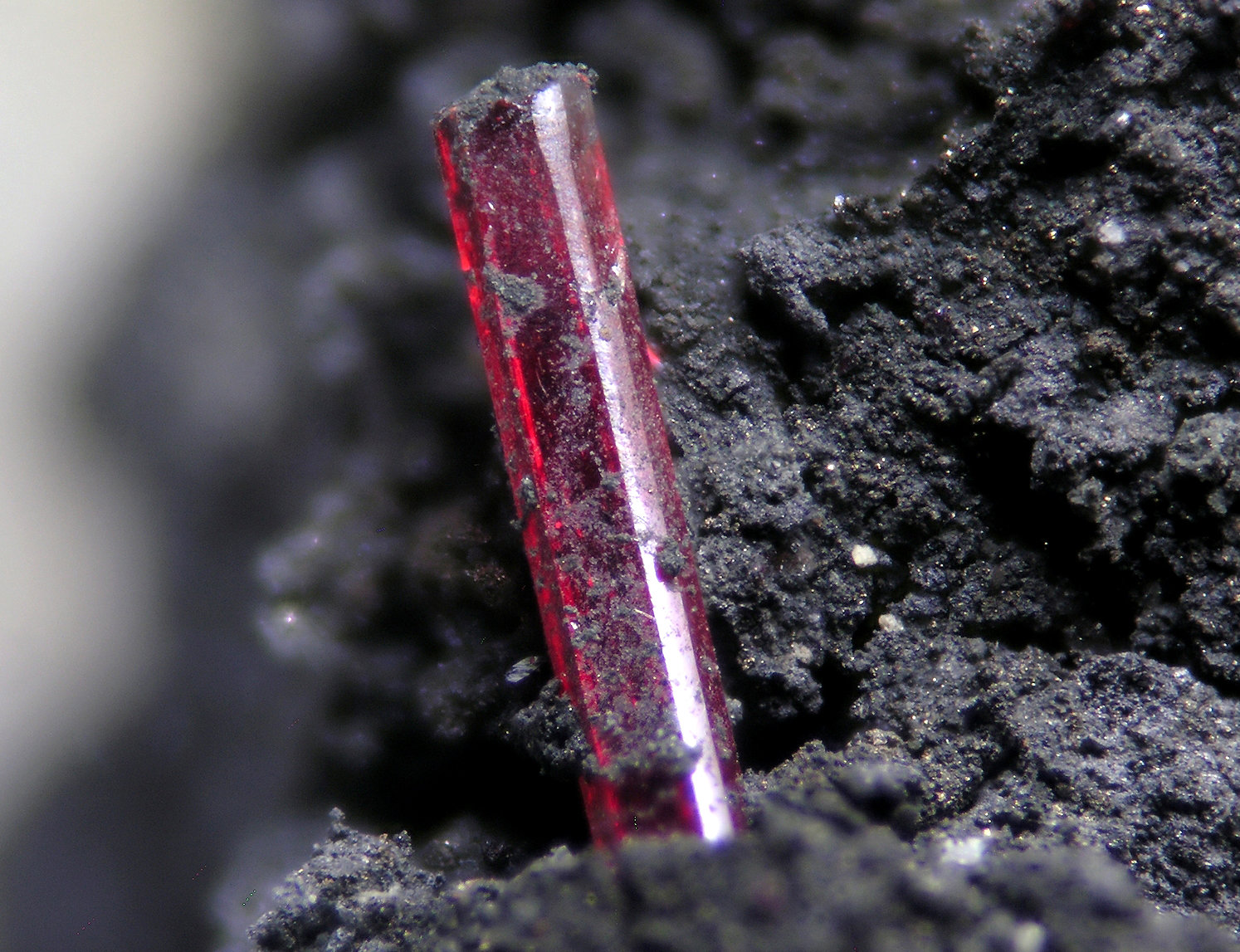 Proustita
Cristal 0.5 cm
(Autor: Cesar M. Salvan)