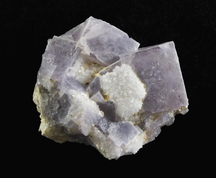 Fluorita
2,7 cm X 2,5 cm
(Autor: MMorales)