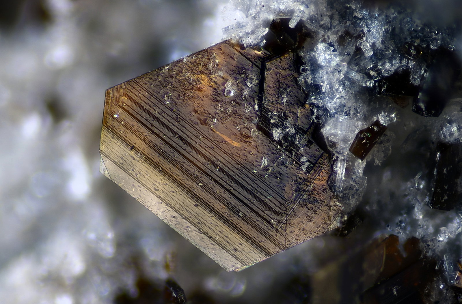 Flogopita
Campo de visión 1,8 mm
(Autor: Juan Miguel)