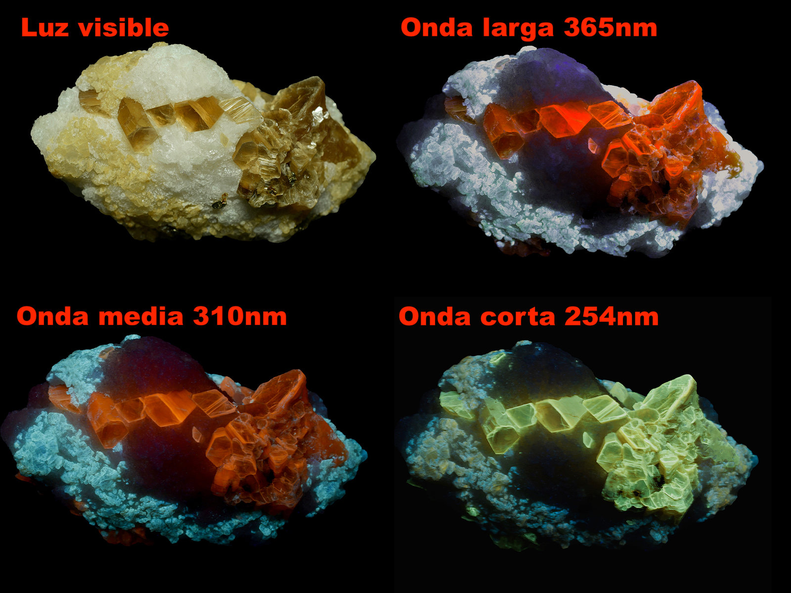 Flogopita, Forsterita en Marmol
9 x 5 x 4 cm
(Autor: UVmineral)