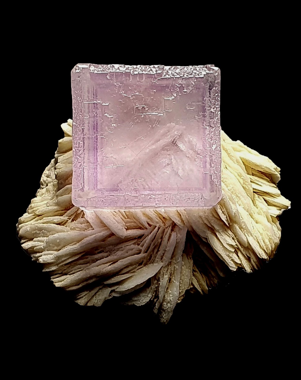 Fluorita
6,5x5,5x5 cm.
(Autor: Nacho)