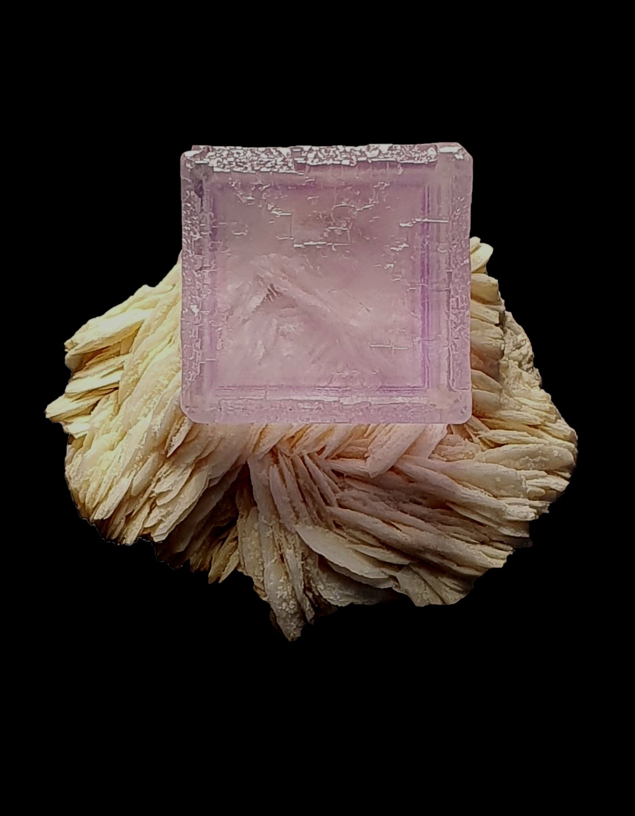 Fluorita
6,5x5,5x5 cm.
(Autor: Nacho)