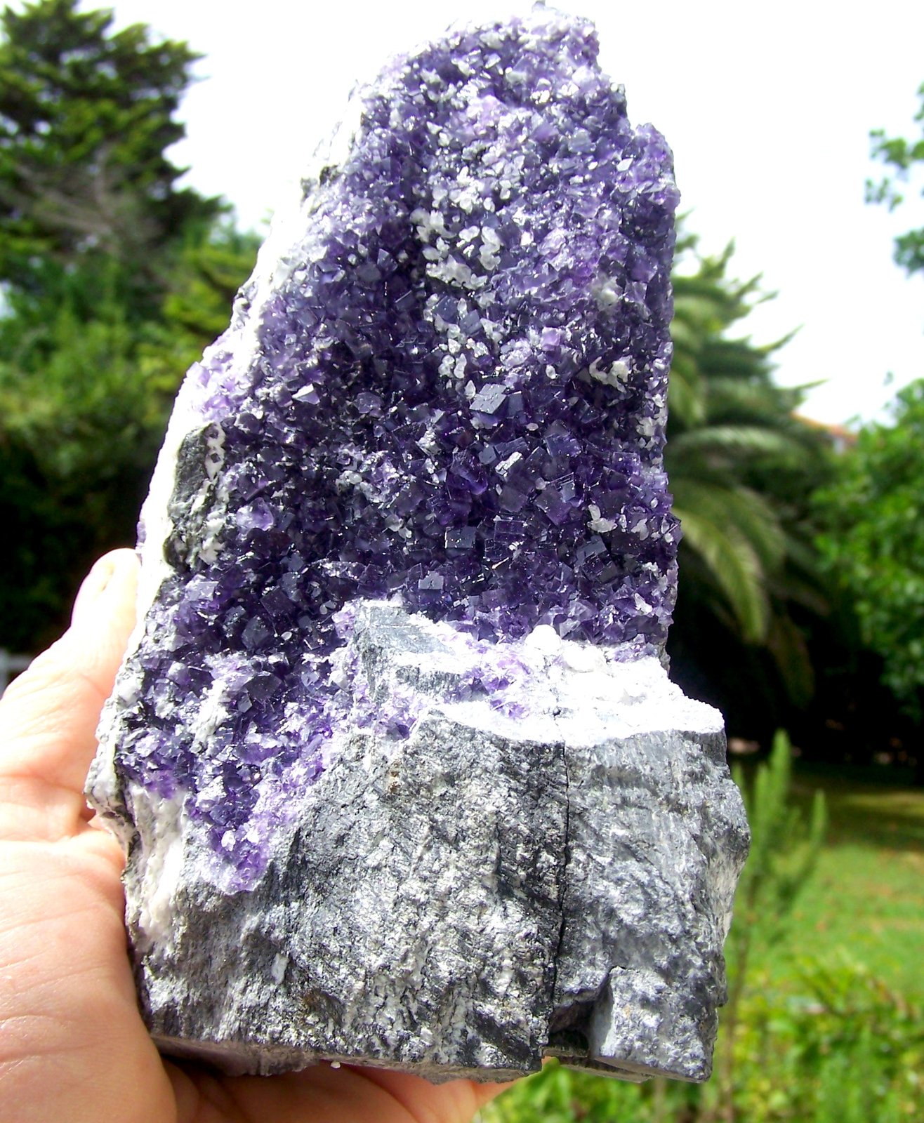 Fluorita, Calcita
20 x 14 cm.
(Autor: canada)