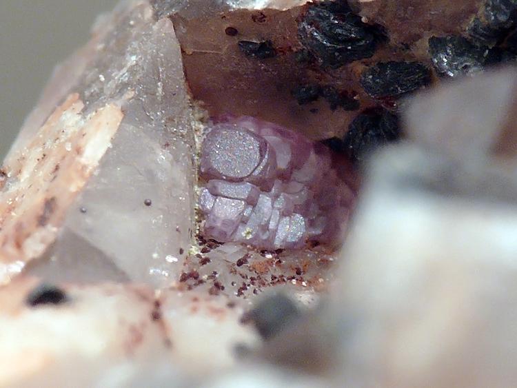 Fluorita
Sobre 2,5 mm
(Autor: Javier MC)