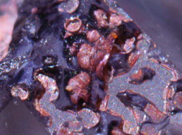 Fluorita, Hematites
detalle
(Autor: usoz)