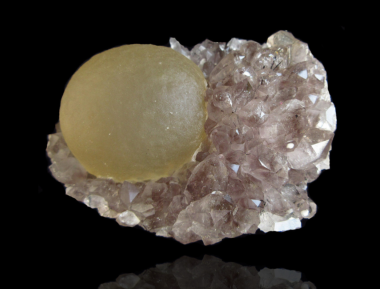 Fluorita
7.2 x 9.2 x 4.5 cm
(Autor: undaria)