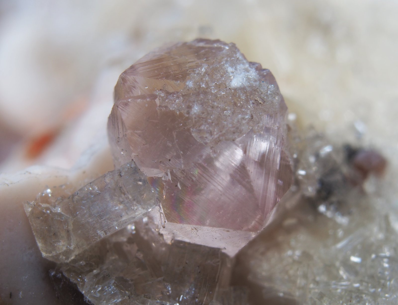 Fluorita con Stilbita-Ca (Estilbita-Ca)
Longitud cristal  4,5 mm.
(Autor: Félix Marcos)
