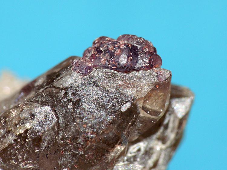 Fluorita
3 mm x 2 mm x 1,5 mm
(Autor: Javier MC)