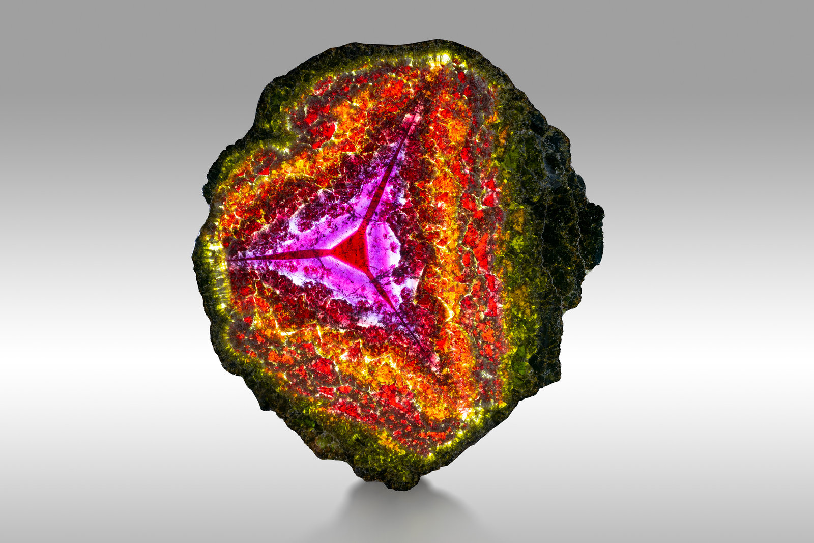 Fluor-liddicoatita
22.5 x 21 cm
(Autor: Museo MIM)