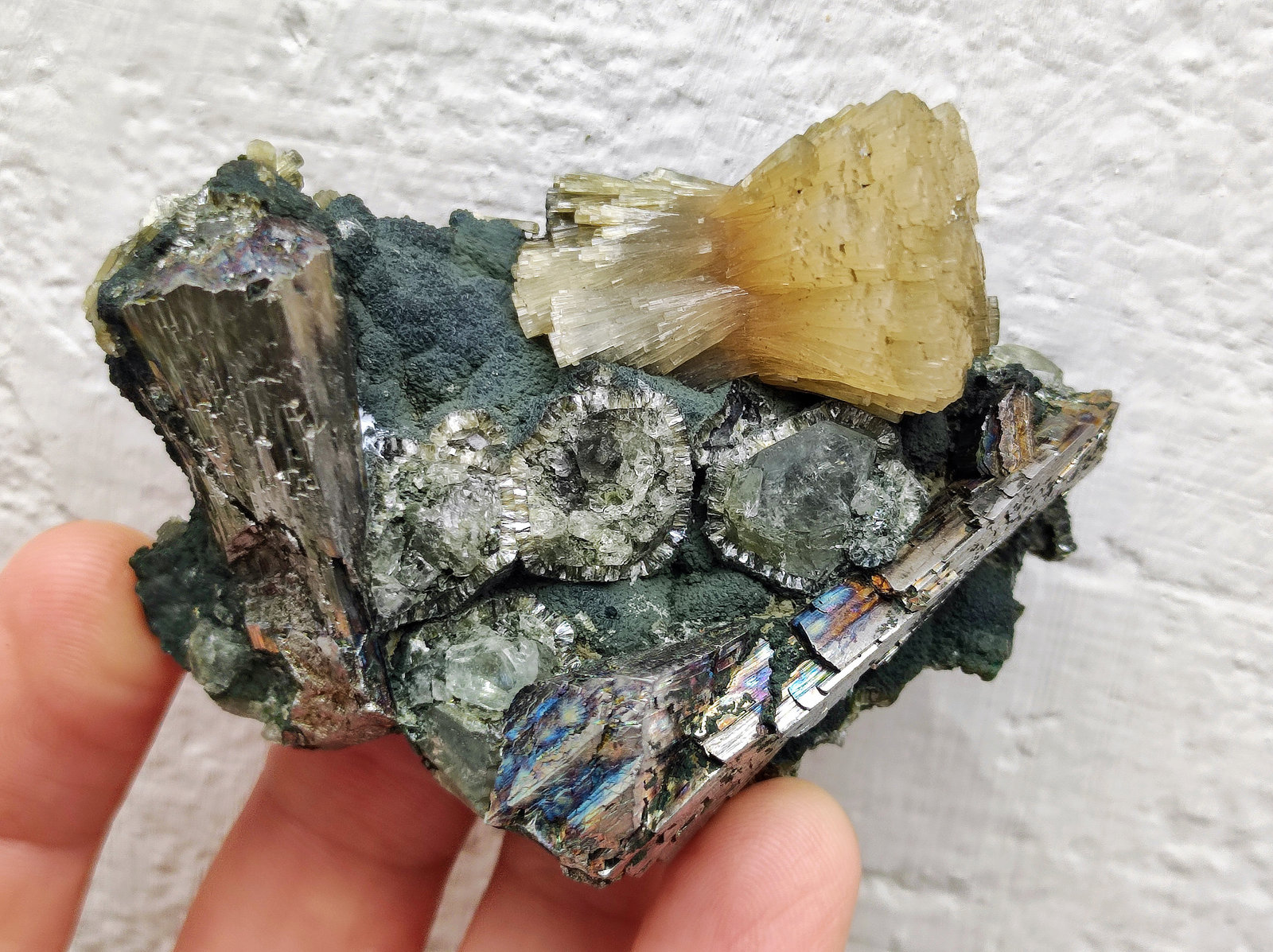 Fluorapatito, Arsenopirita, Topacio, Moscovita, Clorita
7,0 x 5,3 x 3,5 cm
(Autor: carles)
