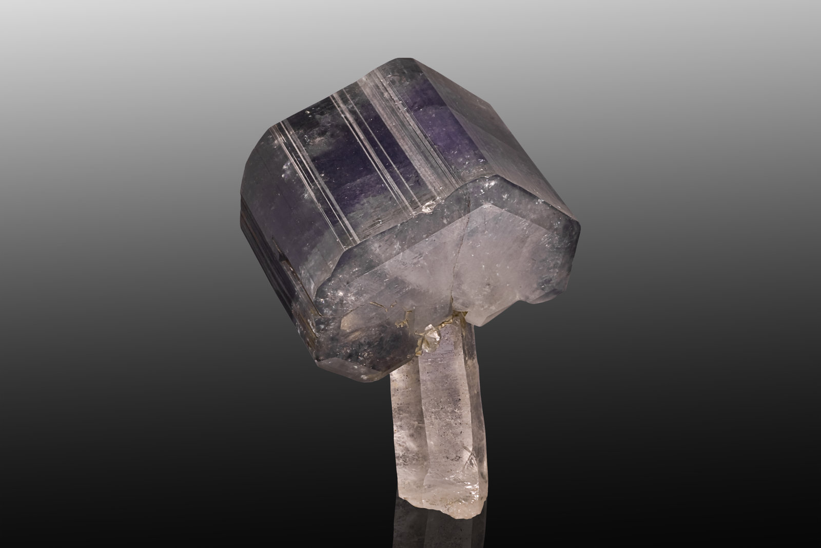 Fluorapatito con Cuarzo
5 x 6 x 8 cm / Cristal principal: 6.6 cm.
(Autor: Museo MIM)