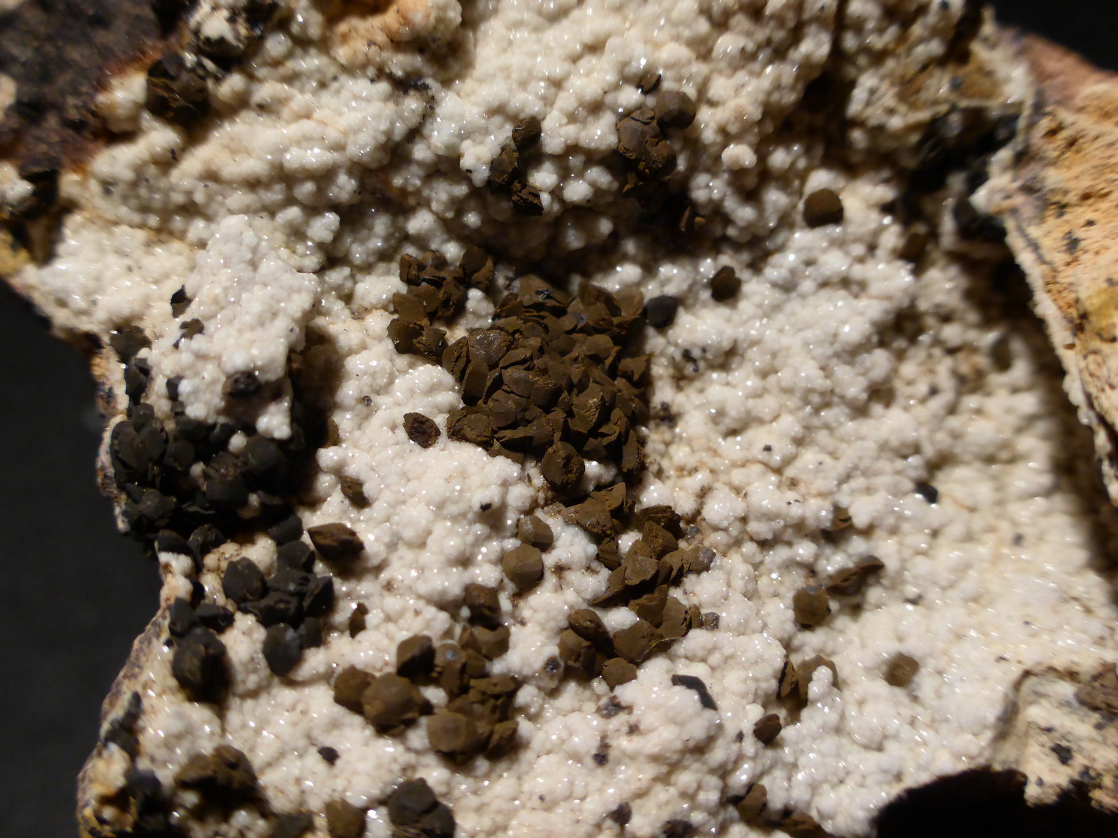 Fluorapatito y goethita pseudo siderita
5,5x4 cm
(Autor: Ander Ispizua Juan)