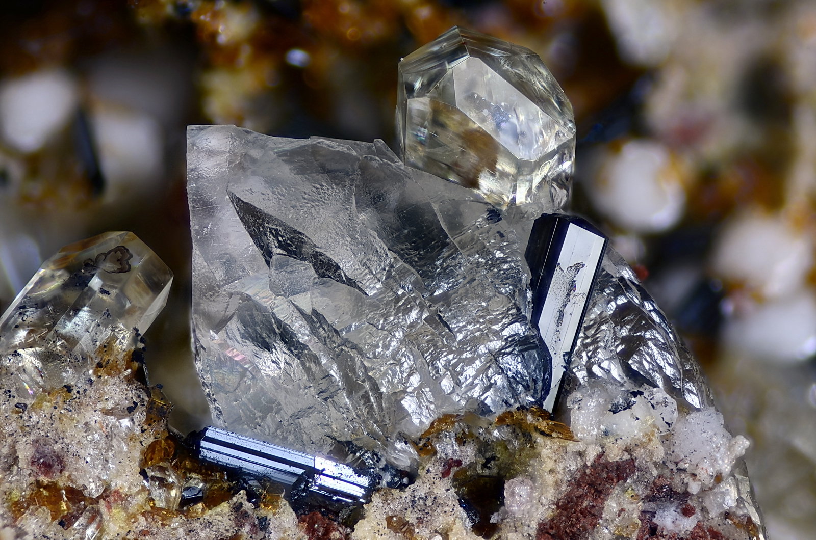 Calcita, Fluorapatito, Pseudobrookita
Campo de visión 4 mm
(Autor: Juan Miguel)
