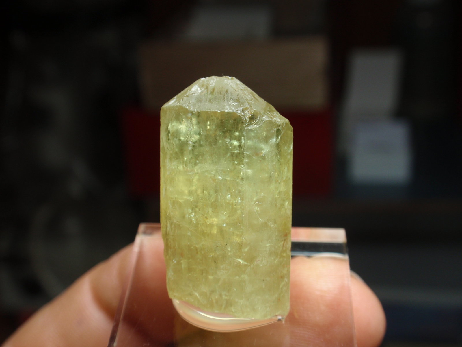 Fluorapatito
15x30 mm
(Autor: Ignacio)
