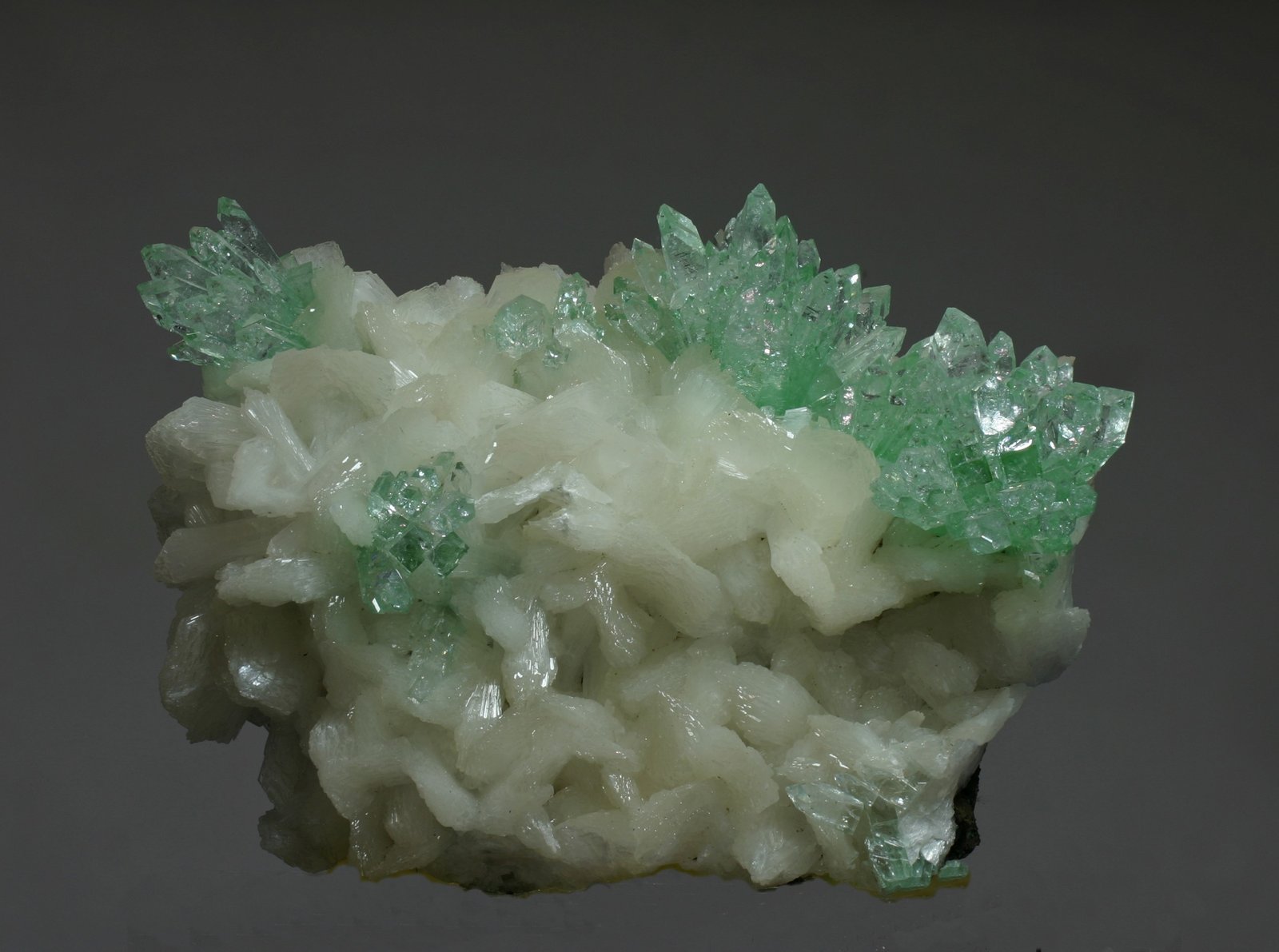 Fluorapophyllita-(K) (Apofilita)
120x90 mm
(Autor: Ramon A  Lopez Garcia)