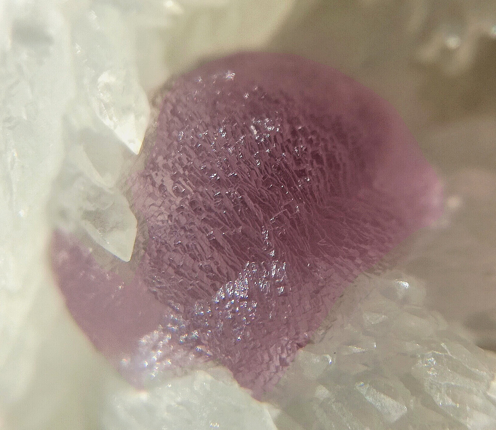 Fluorita y Calcita
Cristal de unos 7mm
(Autor: srm13151)