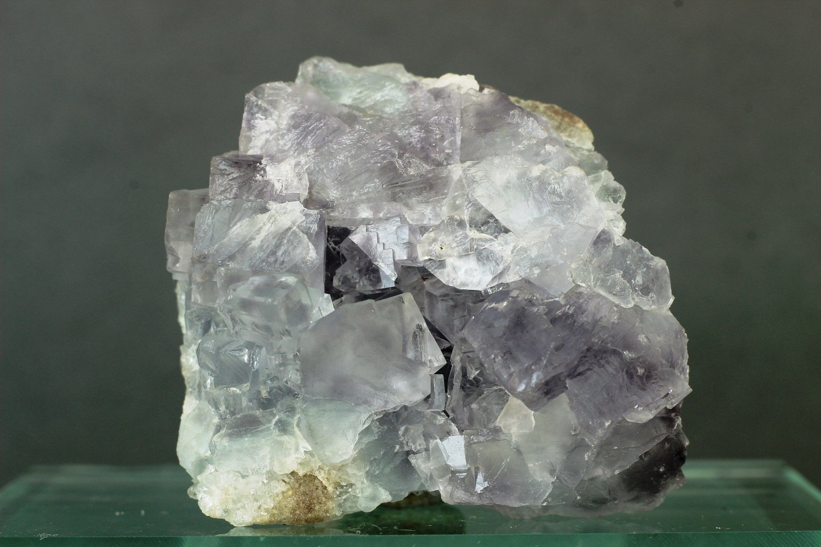 Fluorita
40x30 mm
(Autor: Juan Espino)