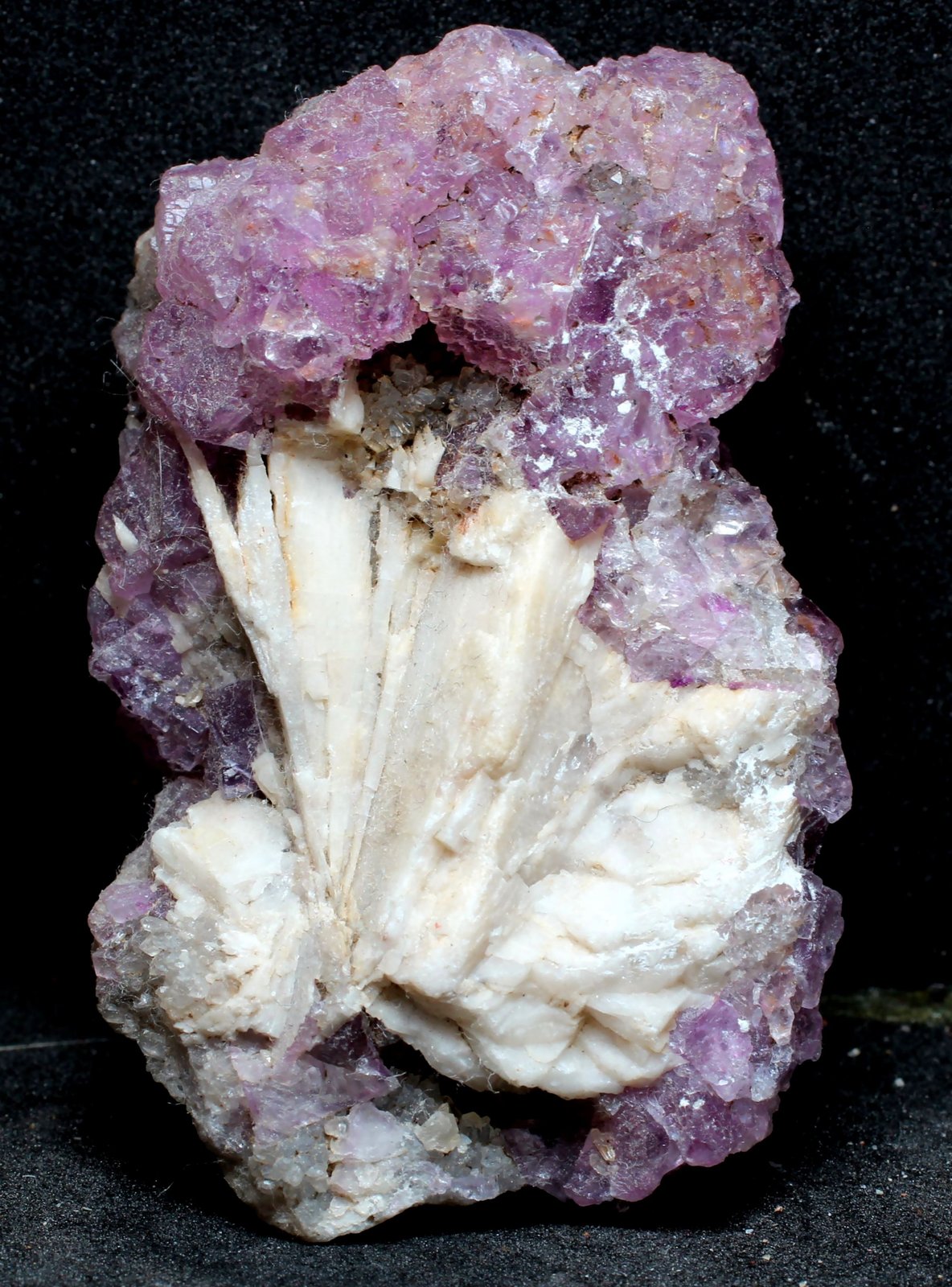 Fluorita
59 x 35 x 28 mm
(Autor: José Luis Zamora)