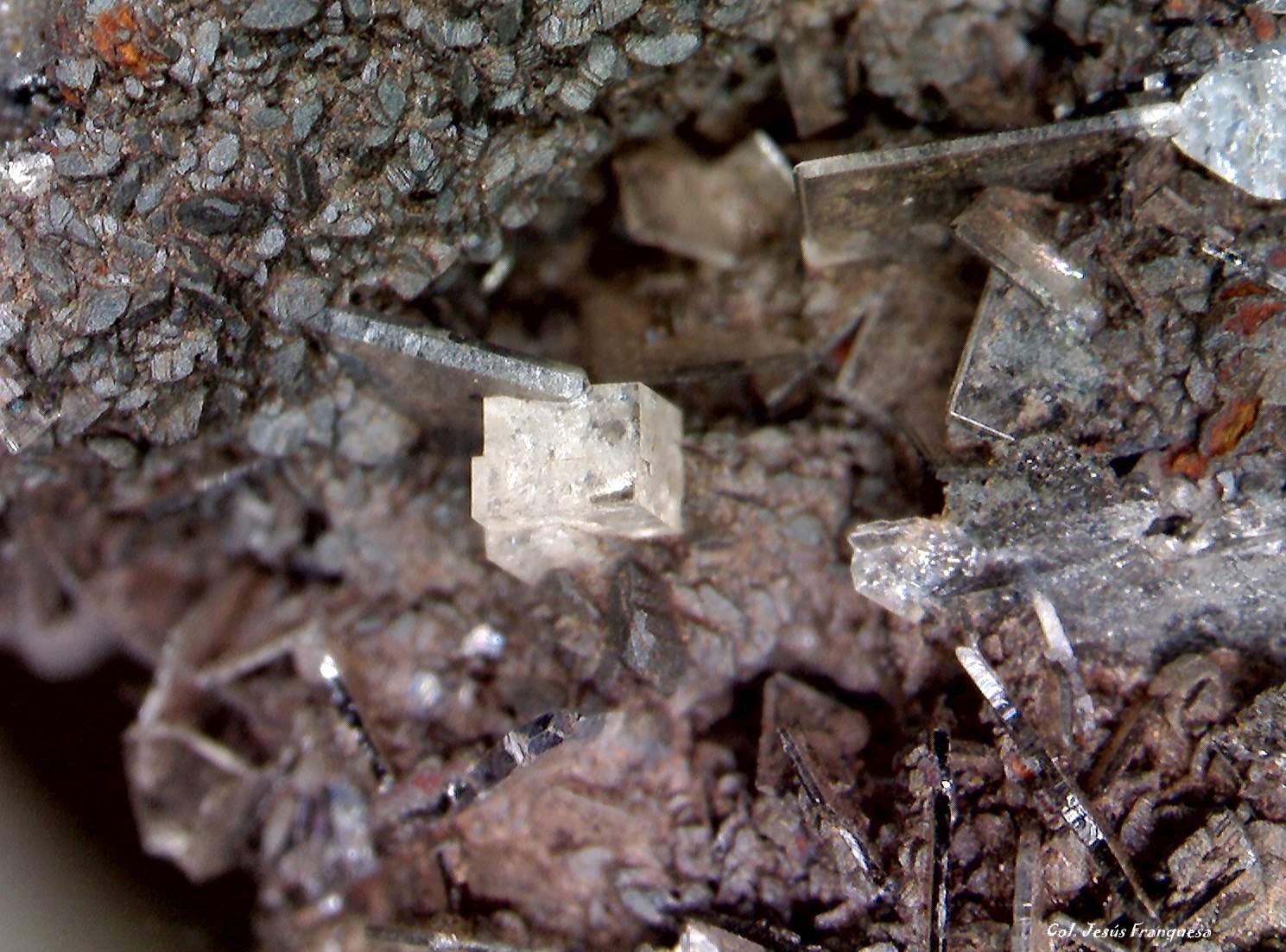 Fluorita, Barita y Siderita.
0´660 x 0´637 mm.
(Autor: Jesus Franquesa Baucells)