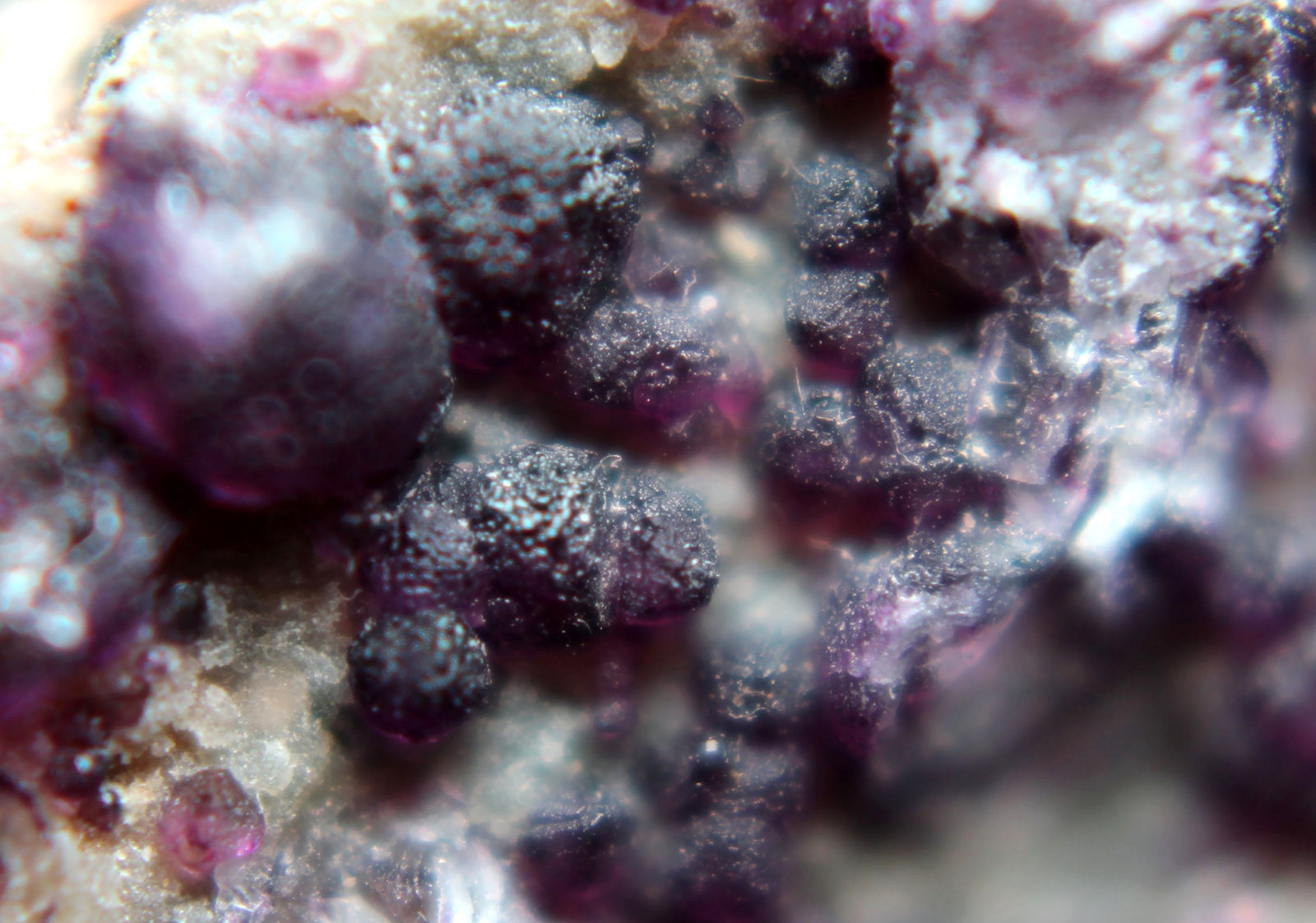 Fluorita
46 x 28 x 15 mm.
(Autor: José Luis Zamora)