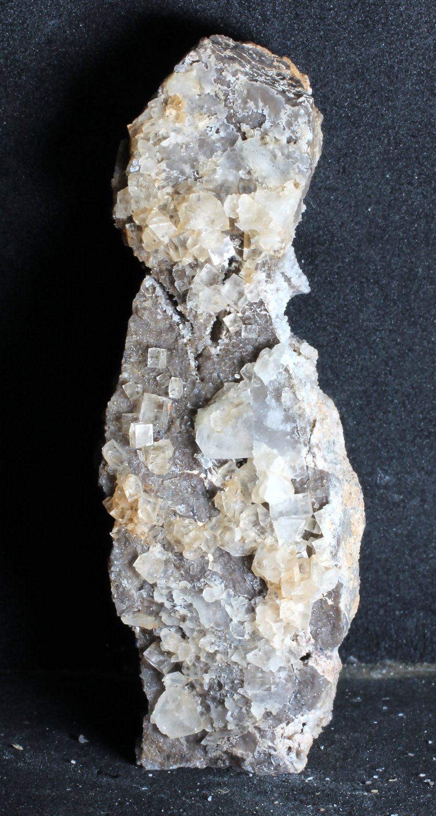 Fluorita
75 x 25 x 22 mm.
(Autor: José Luis Zamora)
