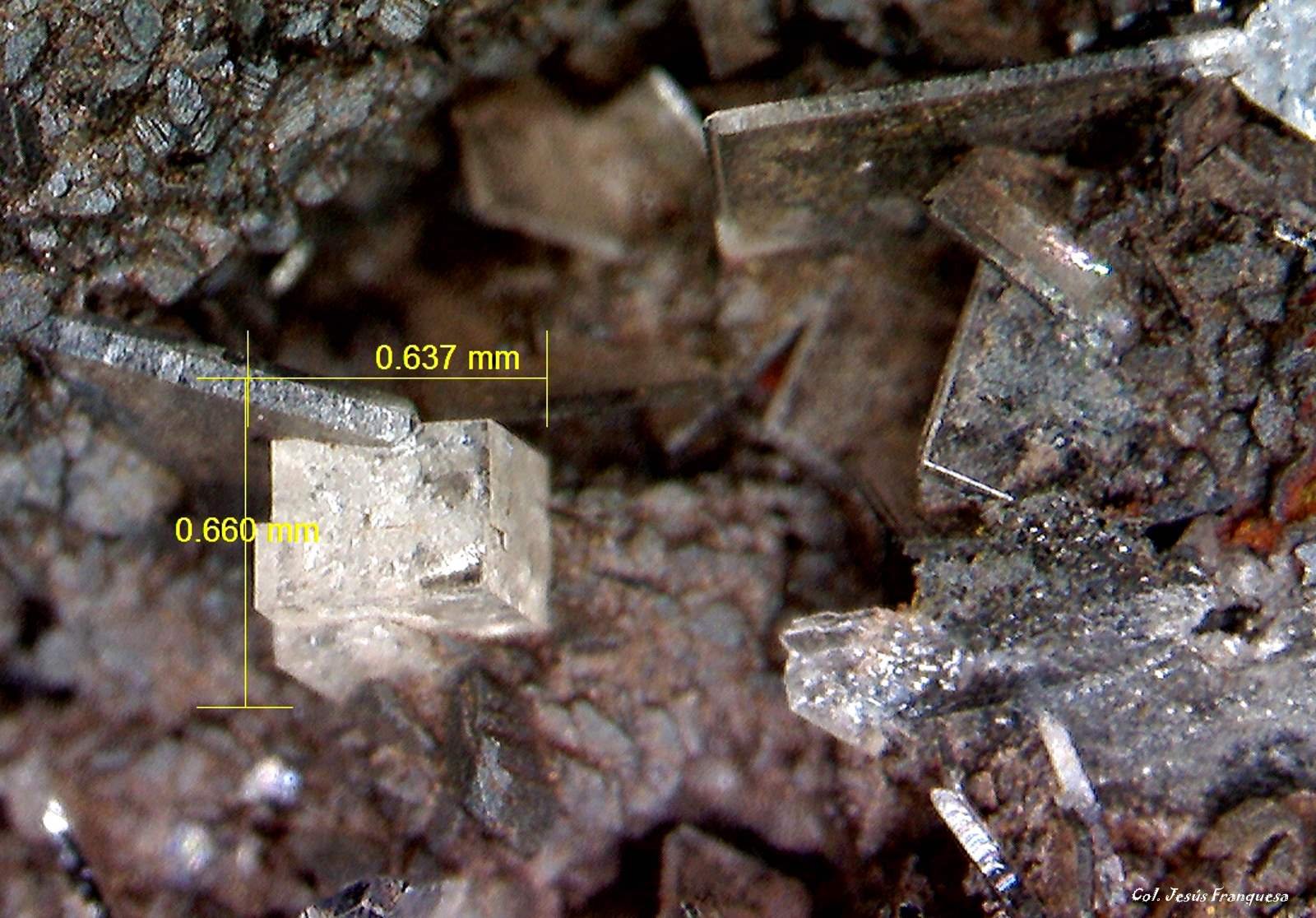 Fluorita, Barita y Siderita.
0´660 x 0´637 mm.
(Autor: Jesus Franquesa Baucells)