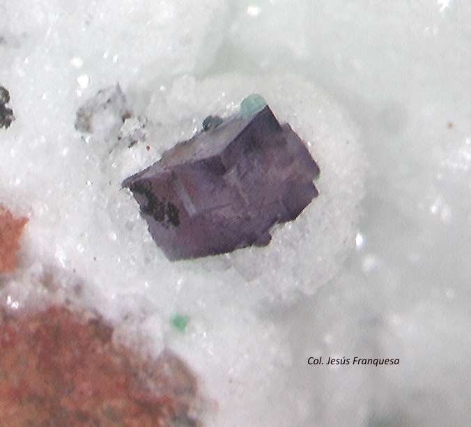 Fluorita.
0´380 x 0´256 x 0372 mm.
(Autor: Jesus Franquesa Baucells)