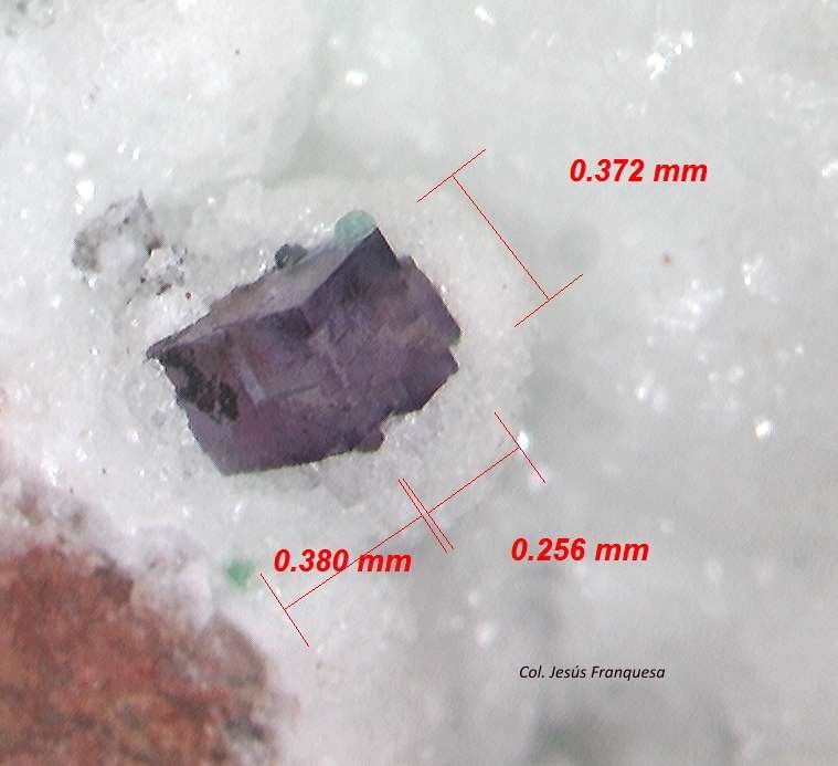 Fluorita.
0´380 x 0´256 x 0372 mm.
(Autor: Jesus Franquesa Baucells)