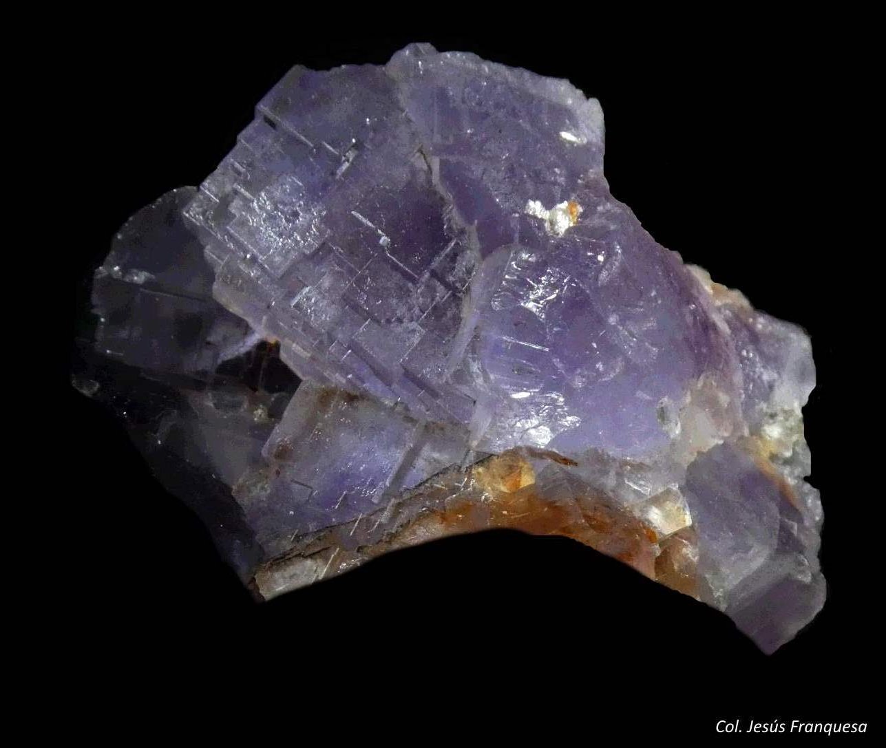 Fluorita.
60x35 mm.
(Autor: Jesus Franquesa Baucells)