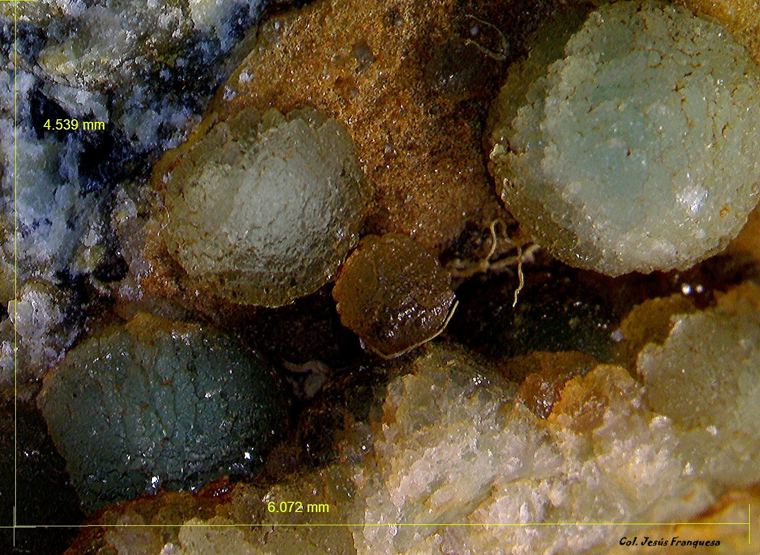 Fluorita.
6´072 x 4´539 mm.
(Autor: Jesus Franquesa Baucells)