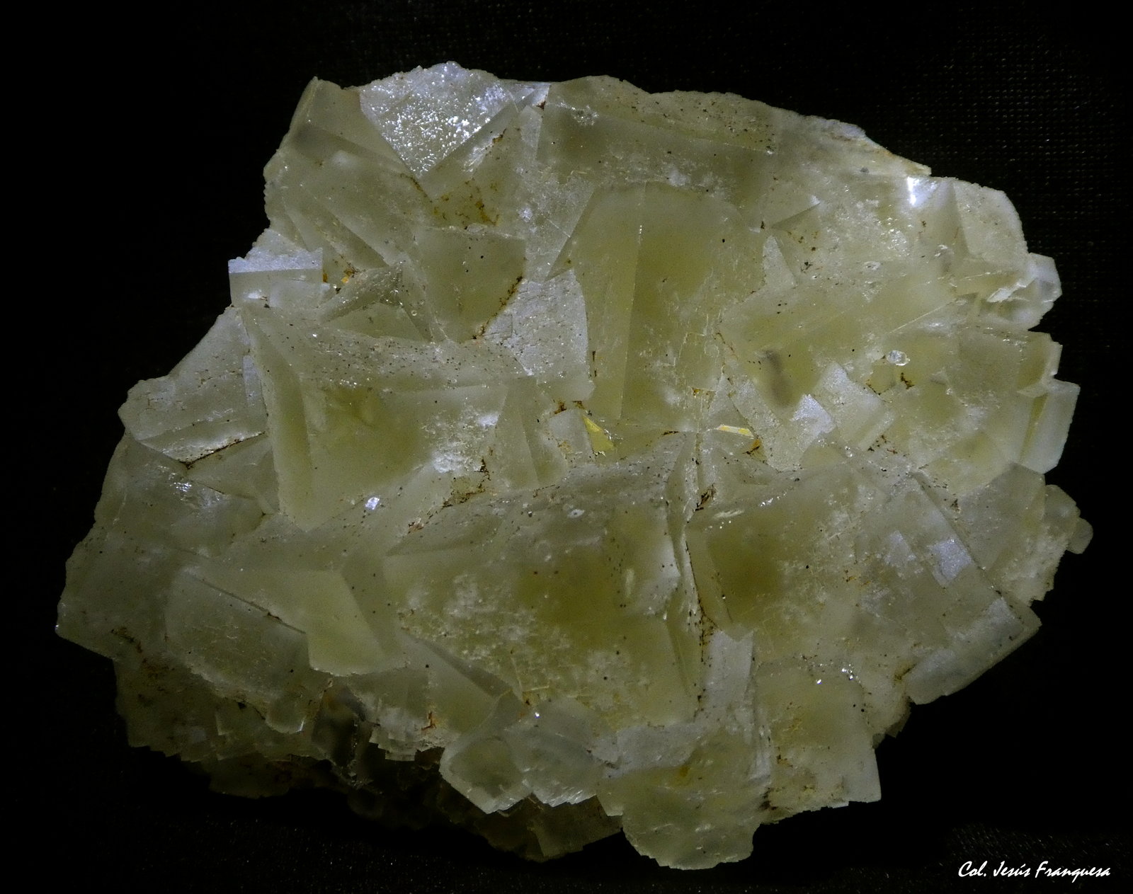 Fluorita.
58x54 mm.
(Autor: Jesus Franquesa Baucells)