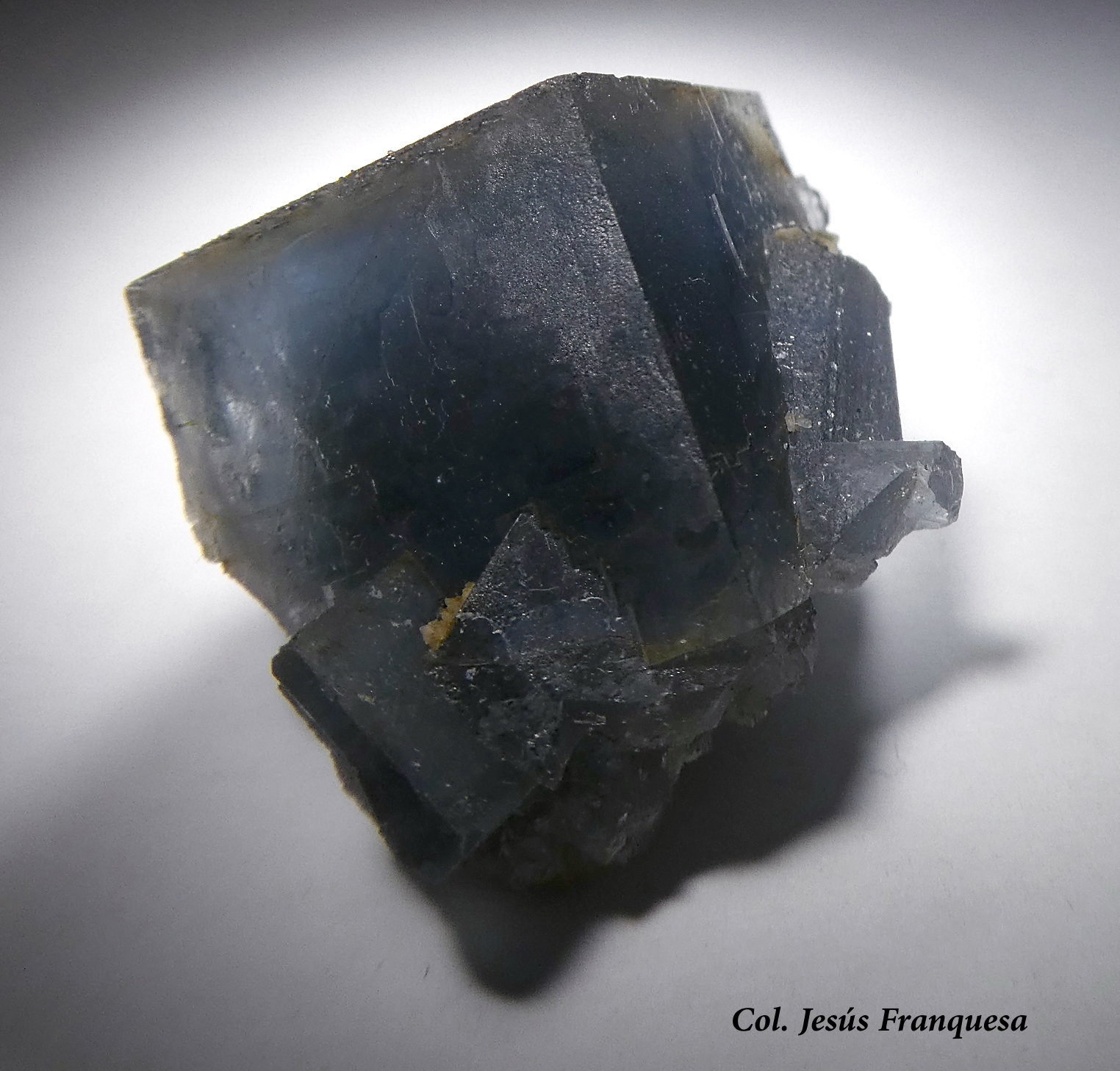 Fluorita.
16x12 mm.
(Autor: Jesus Franquesa Baucells)