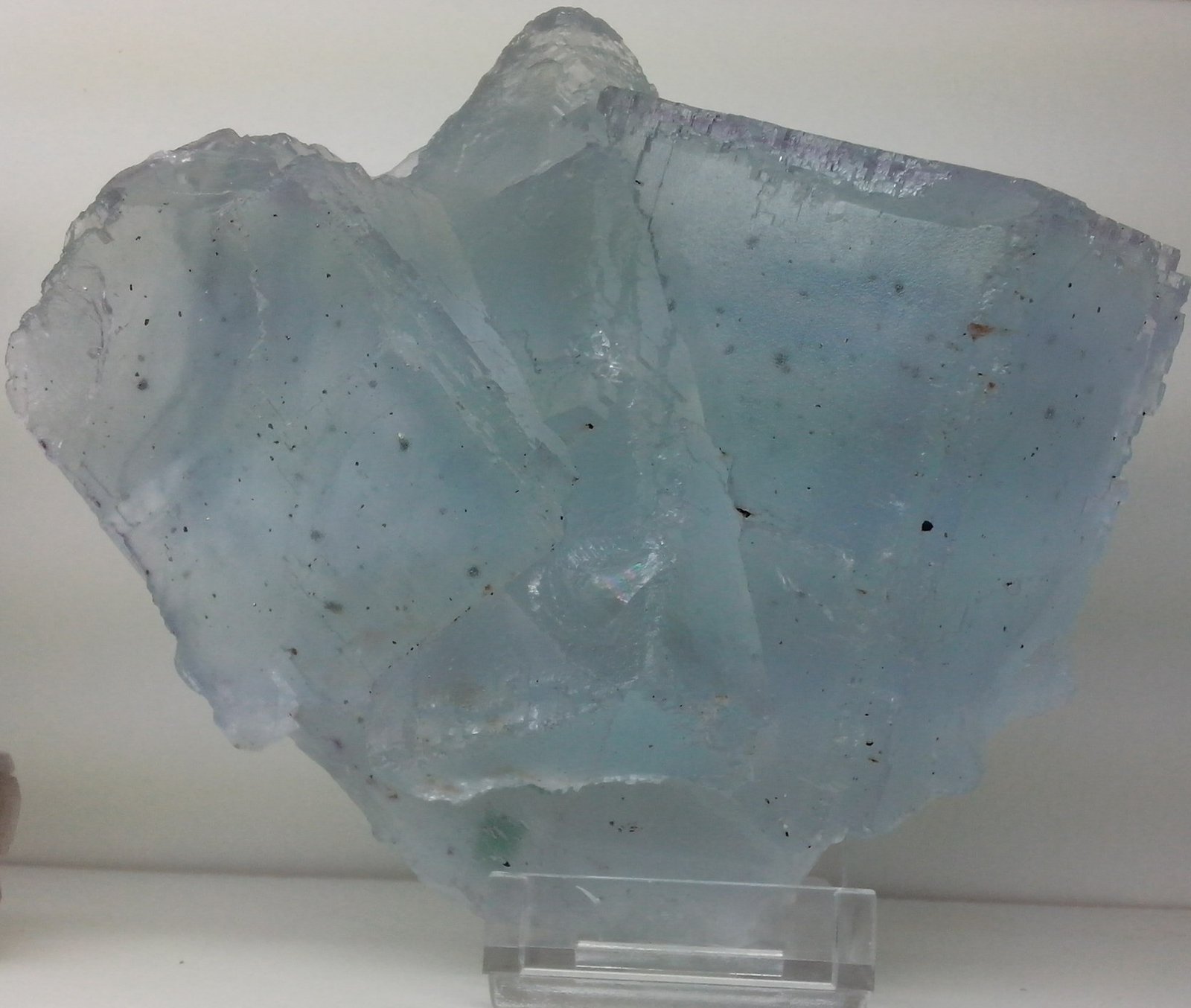 Fluorita
13 x 13 x 7 cm
(Autor: DavidSG)
