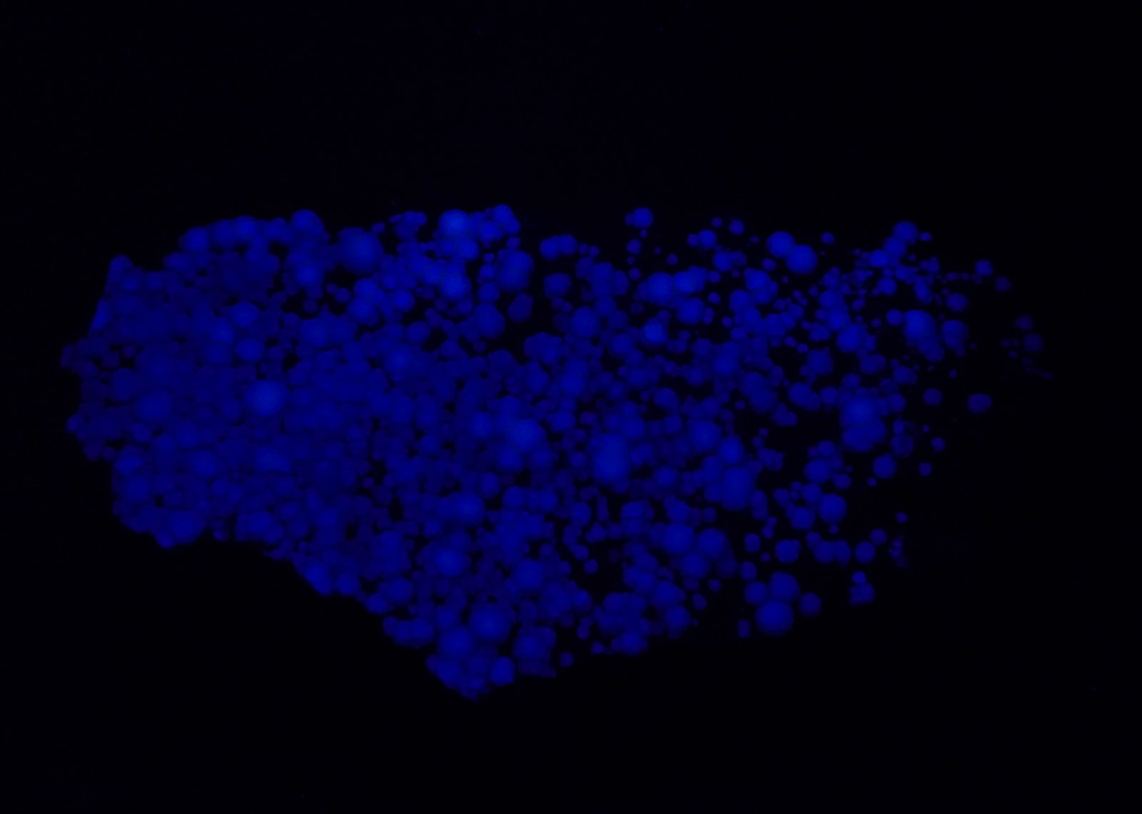 Fluorita.
150x80 mm.
(Autor: Jesus Franquesa Baucells)