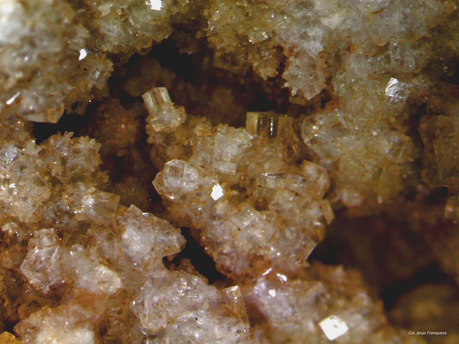 Fluorita.
1´192 x 0´873 mm.
(Autor: Jesus Franquesa Baucells)