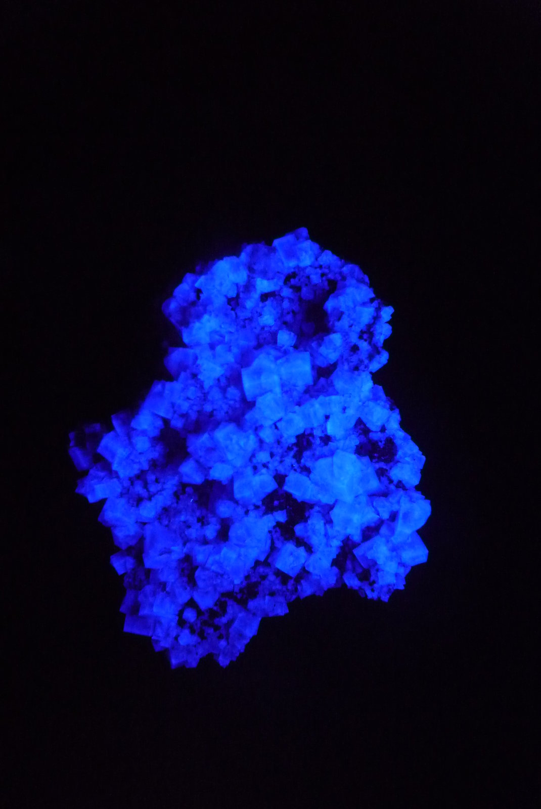 Fluorita y Esfalerita.
80x60 mm.
(Autor: Jesus Franquesa Baucells)