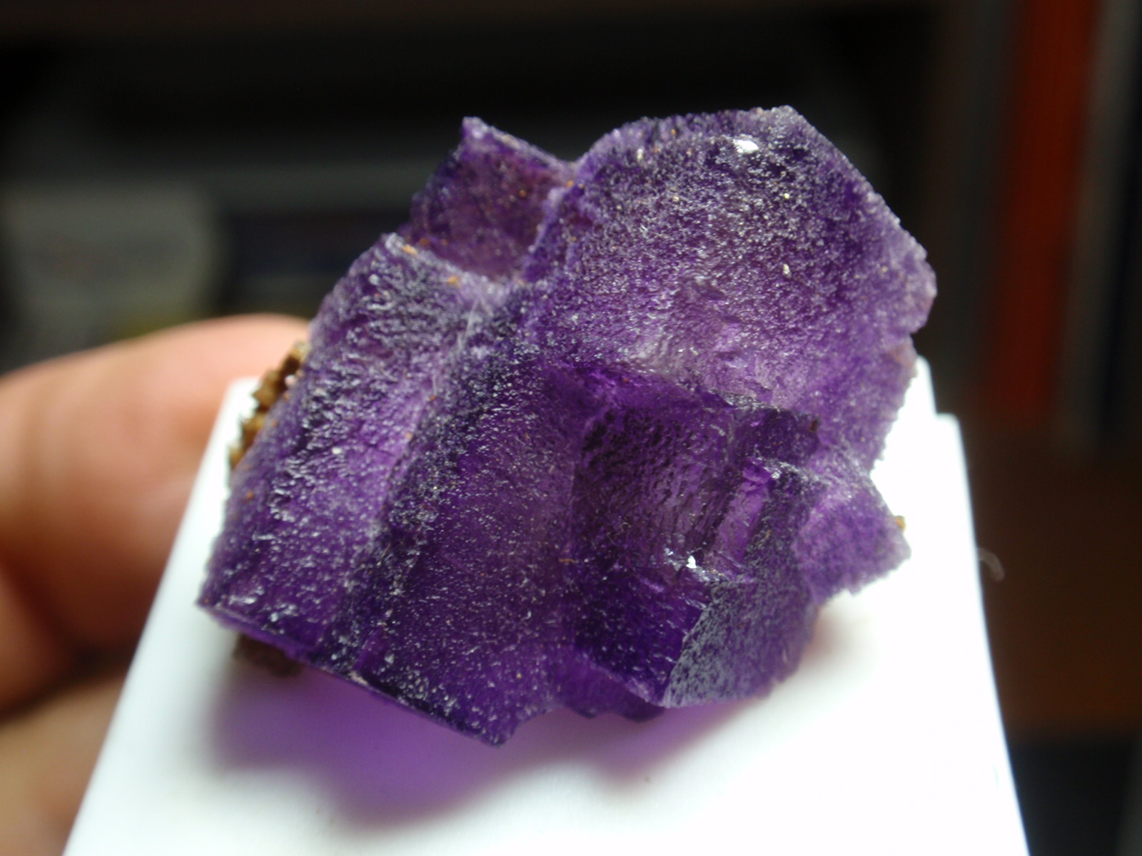 Fluorita
30x20 mm
(Autor: Ignacio)