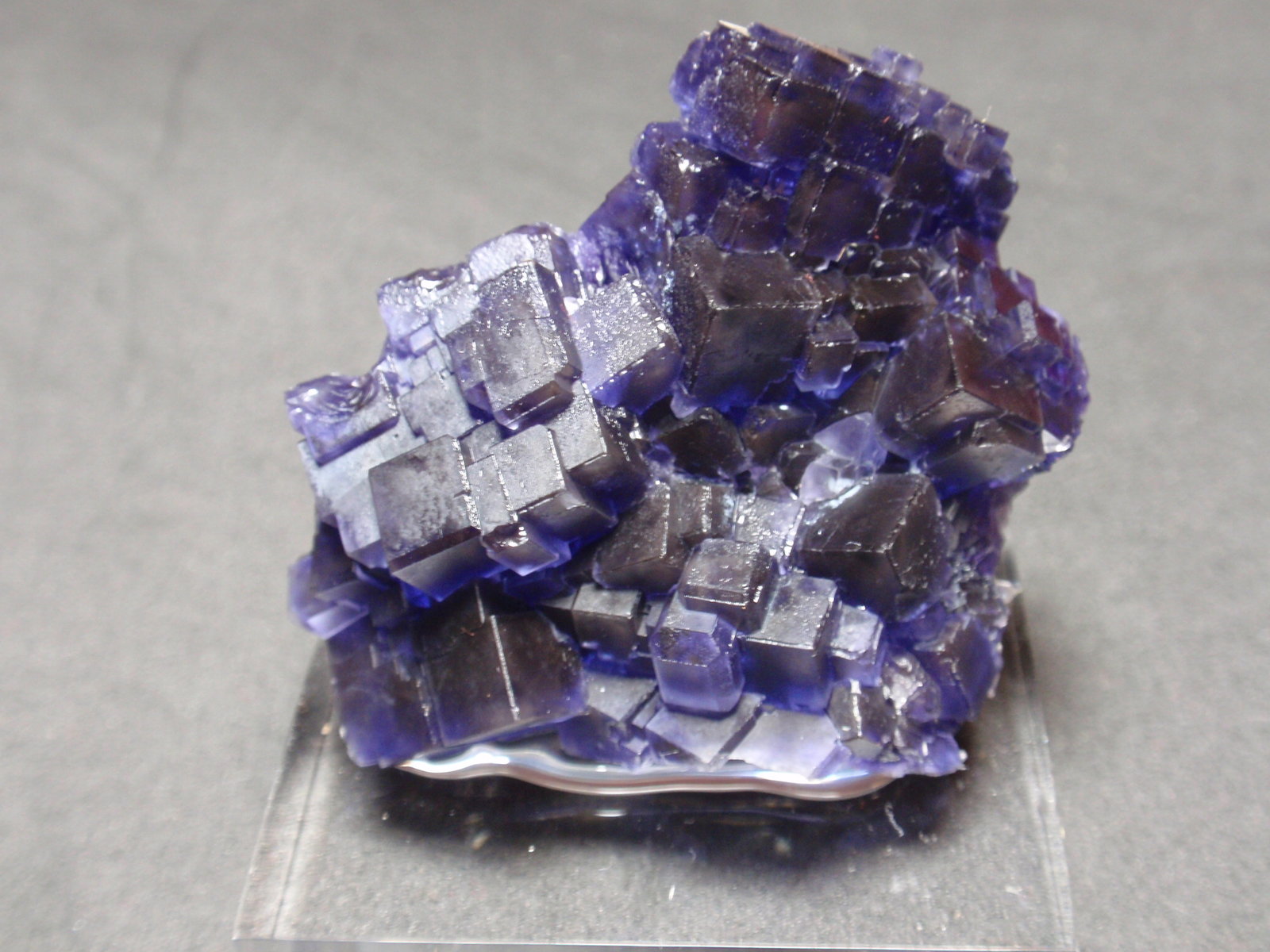 Fluorita
40x35 mm
(Autor: Ignacio)