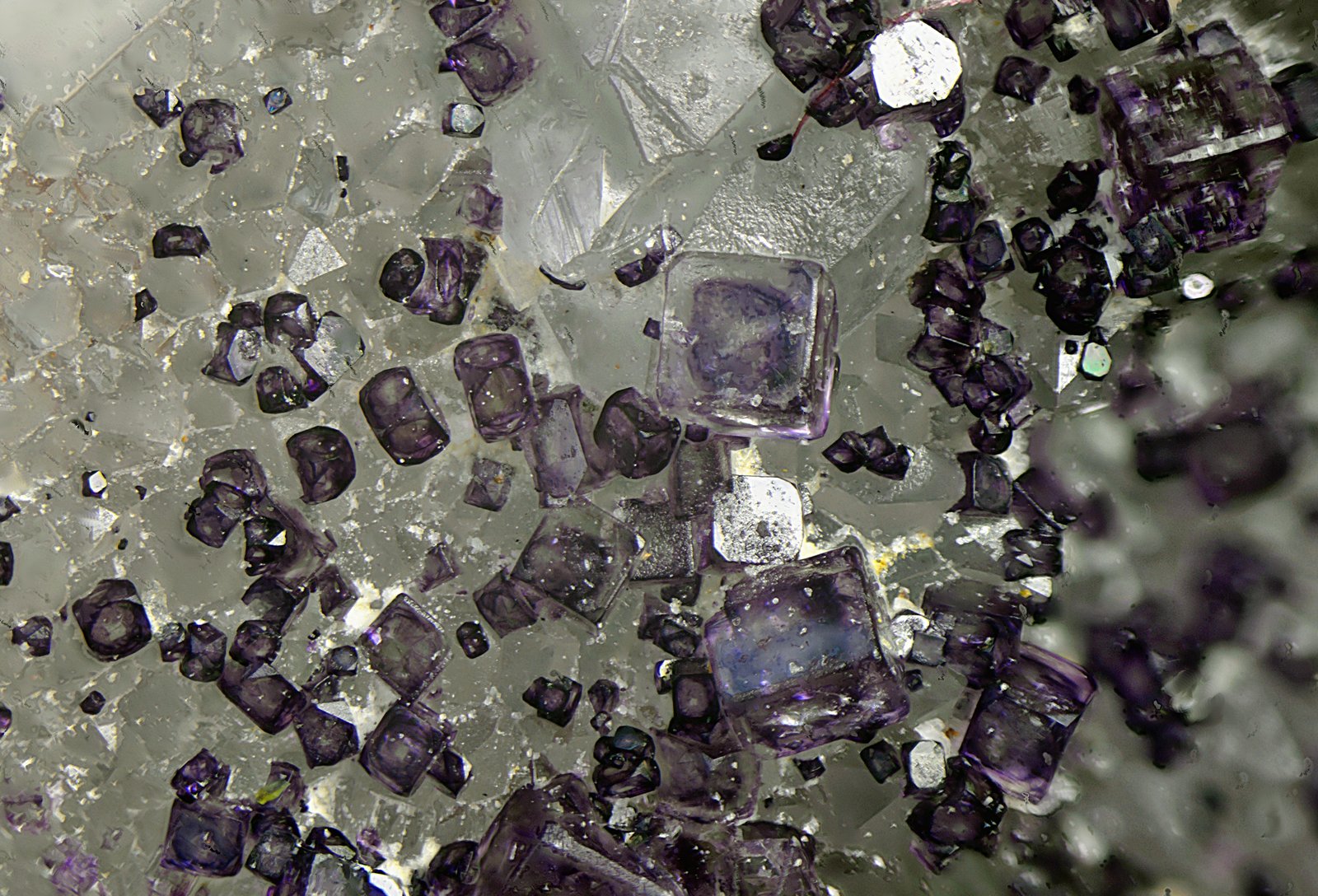 Fluorita.
Campo de visión de 6 mm.
(Autor: Antonio Carmona)