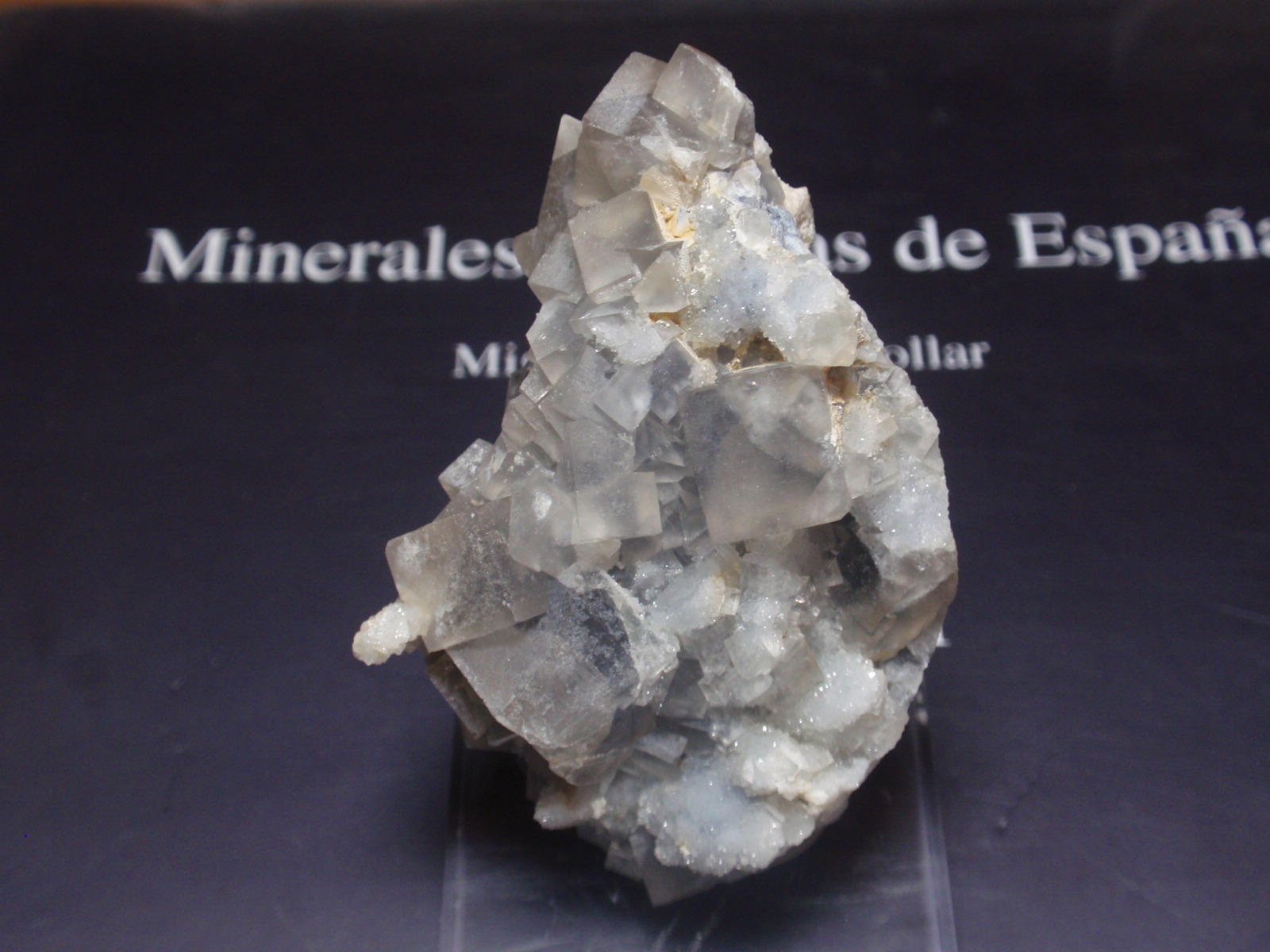 Fluorita
40x60 mm
(Autor: Ignacio)