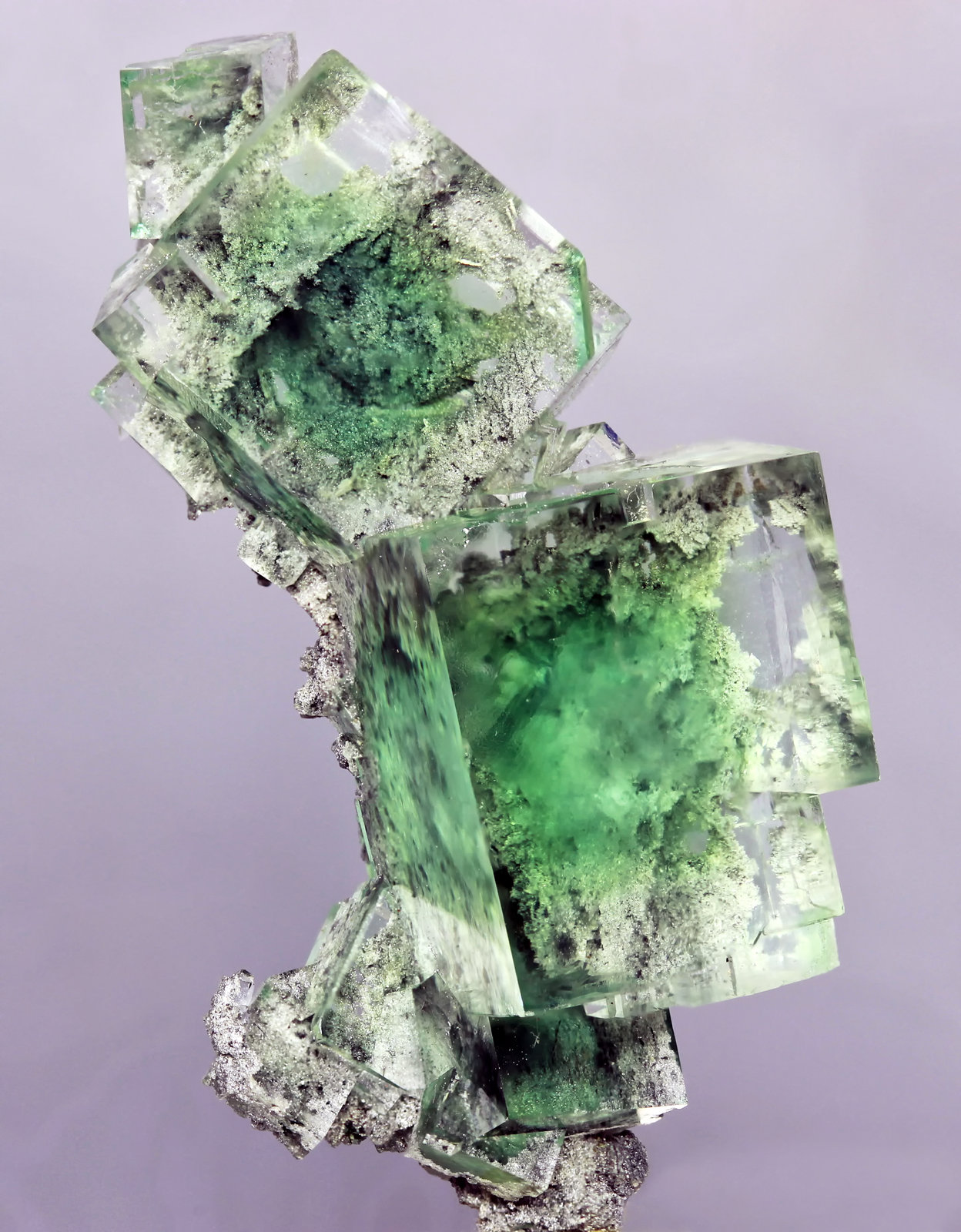 Fluorita
25x50mm
(Autor: Ramon A  Lopez Garcia)
